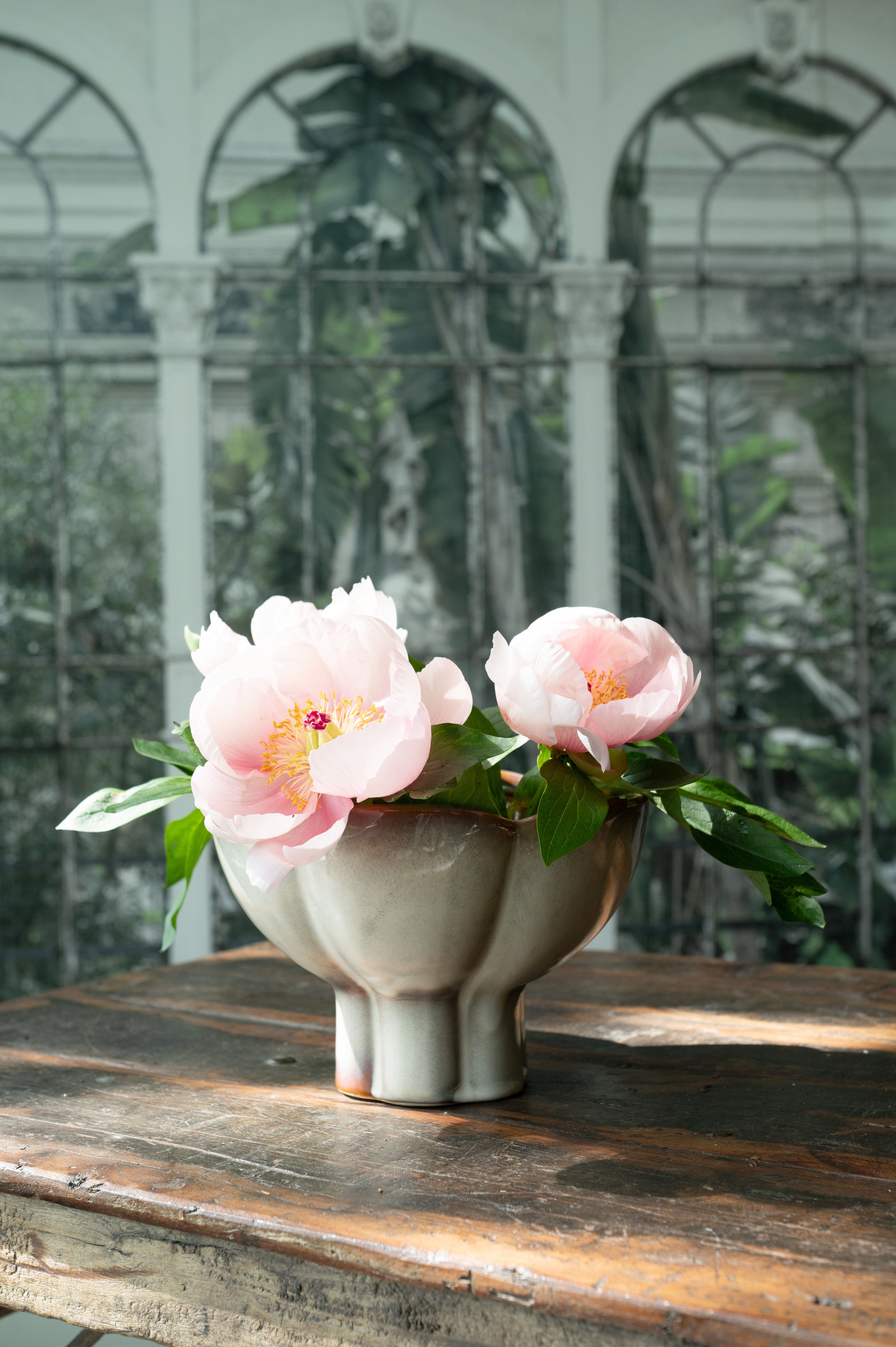 Wikholm Denise Planter