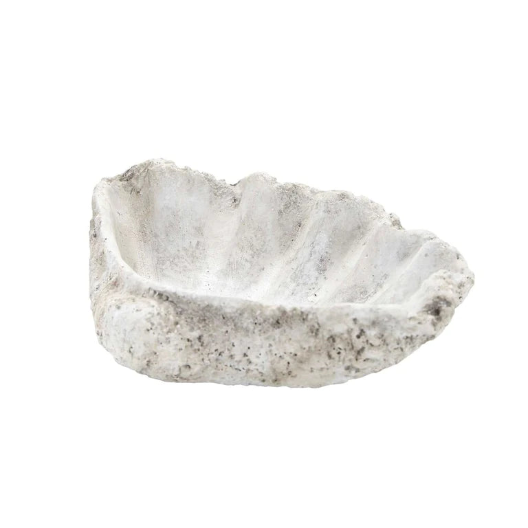 Bahne Cement Shell