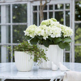 Wikholm Lou Pot Set 2 Off White