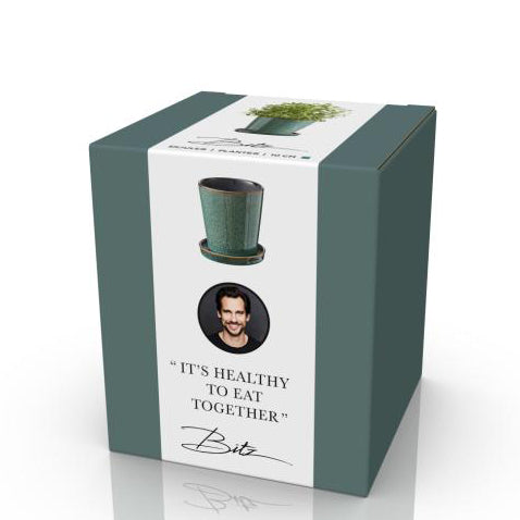 Bitz Planter with Saucer Green/Black