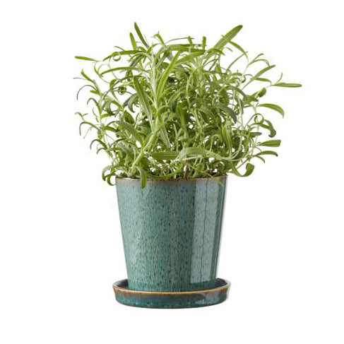 Bitz Planter with Saucer Green/Black