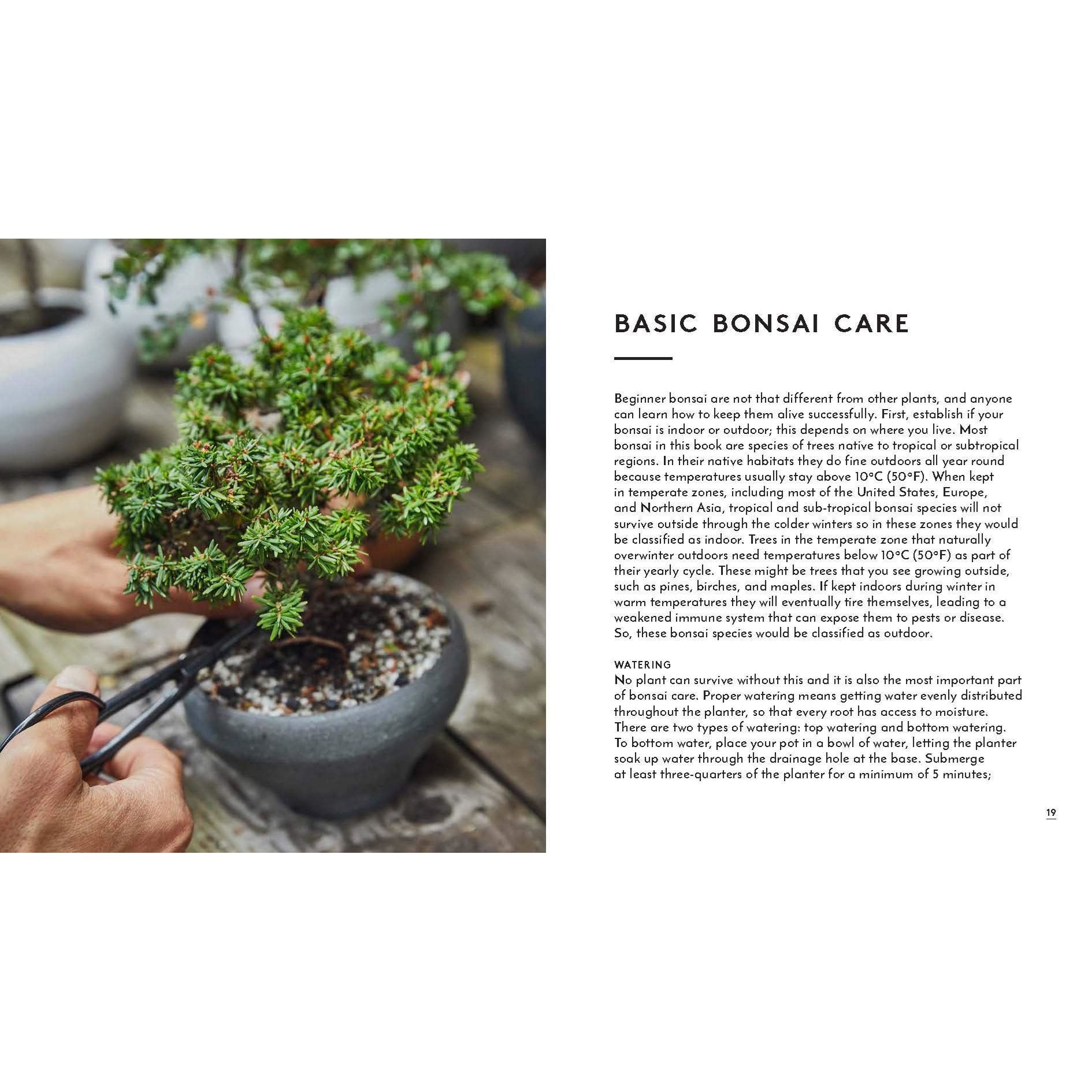 The Little Book of Bonsai