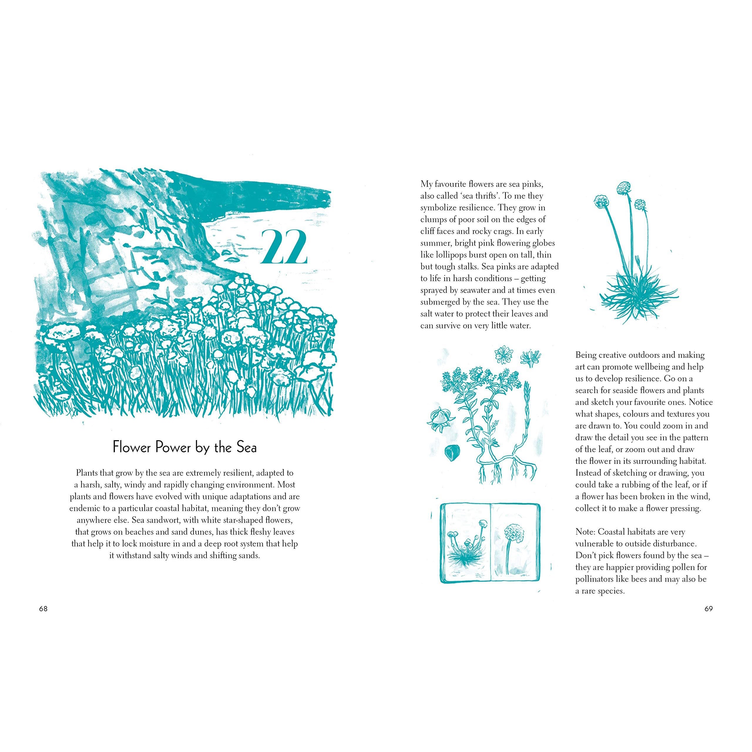 50 Things to Do by the Sea Book
