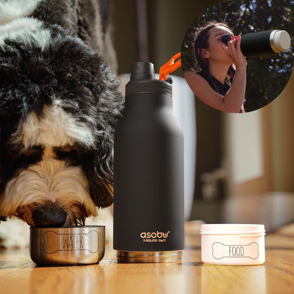Black insulated bottle with 'asobu' branding next to a dog eating from a bowl labeled 'water' and a container labeled 'food'.