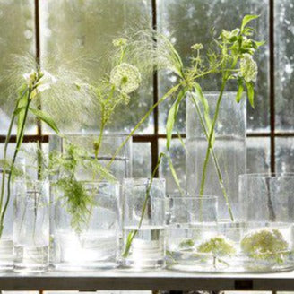 Wikholm Maria Cylinder Bowl Clear