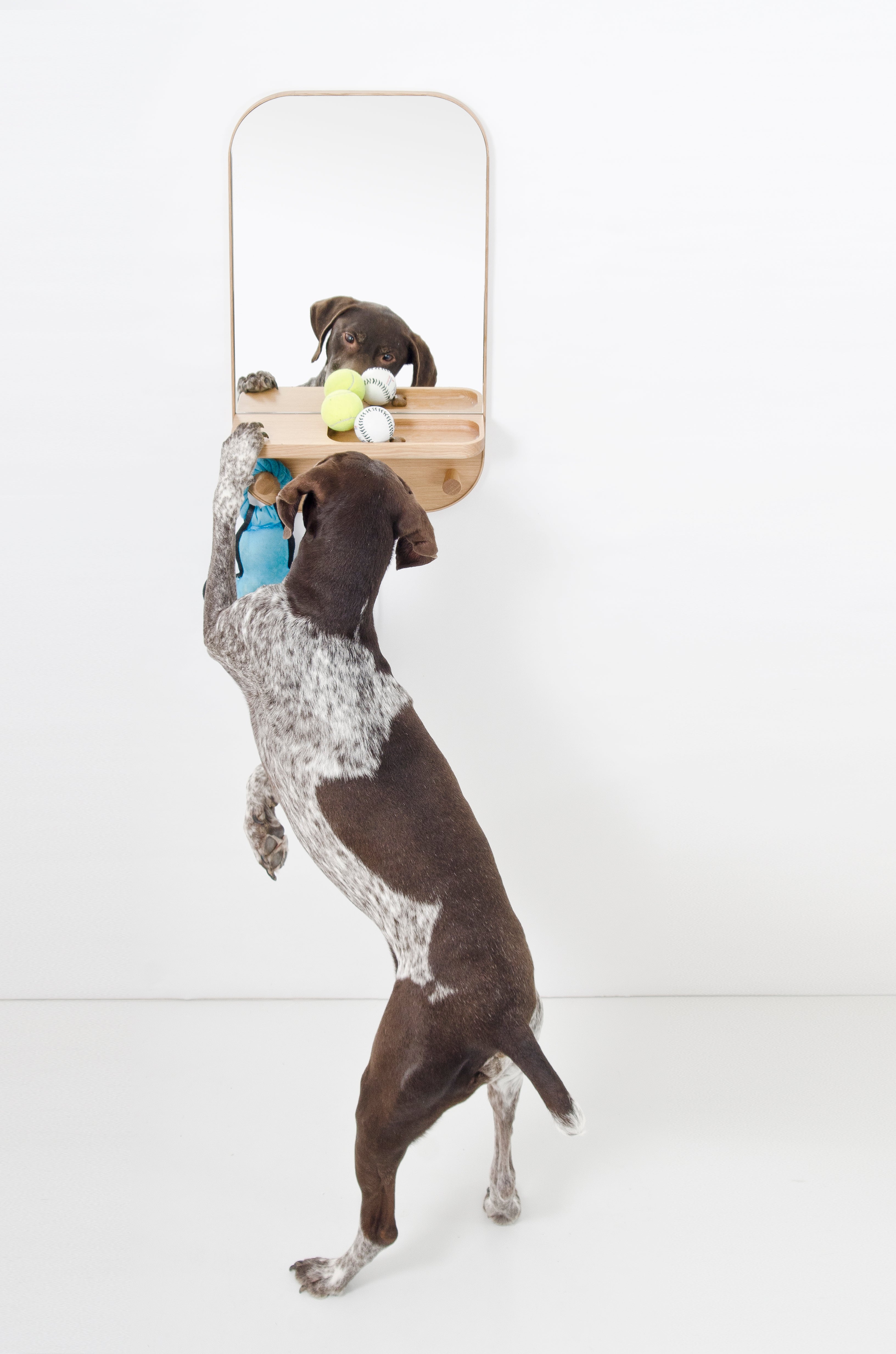 Wireworks Silent Butler Storage Mirror