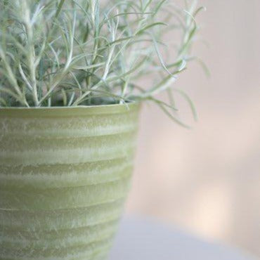 Wikholm Yodit Plant Pot Green