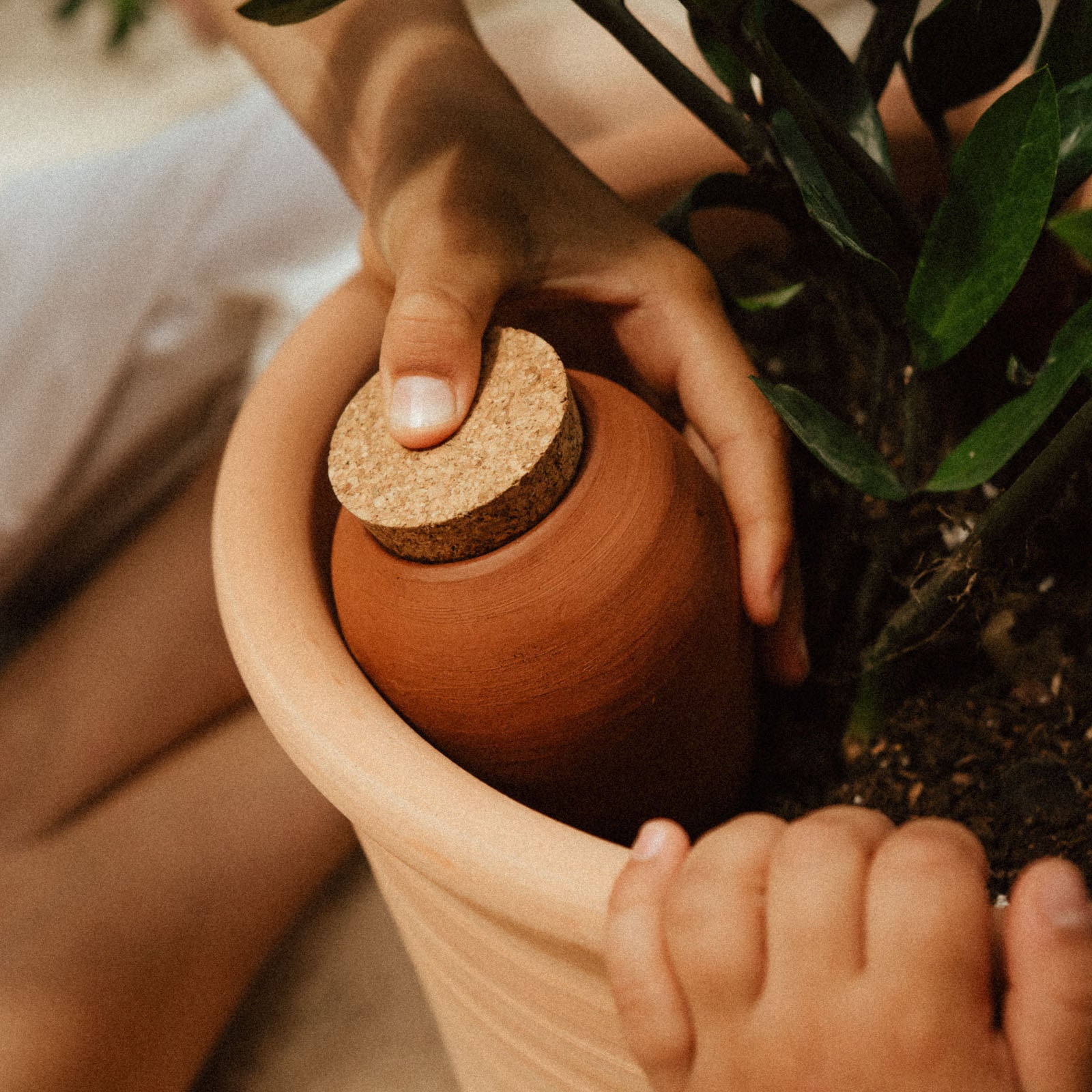 Pepin Olla Mustard Yellow