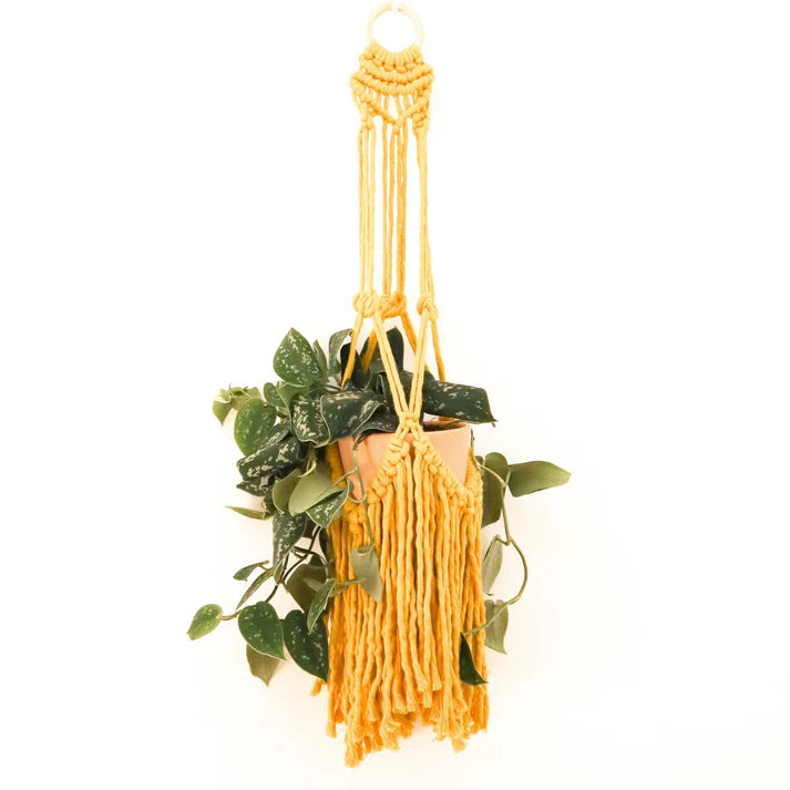 Stitch Happy Deluxe Plant Hanger Macrame Craft Kit - Ecru