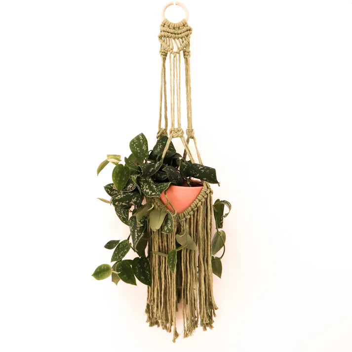 Stitch Happy Deluxe Plant Hanger Macrame Craft Kit - Avocado