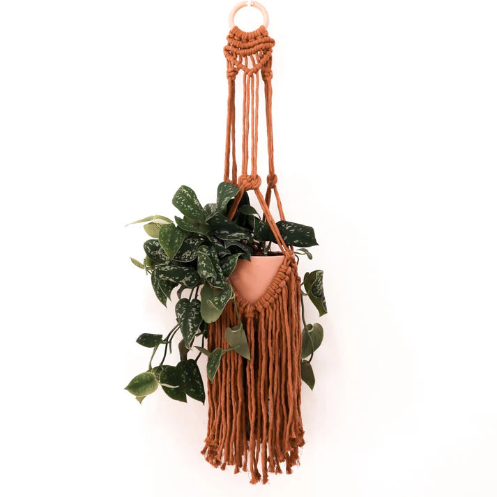 Stitch Happy Deluxe Plant Hanger Macrame Craft Kit - Terracotta