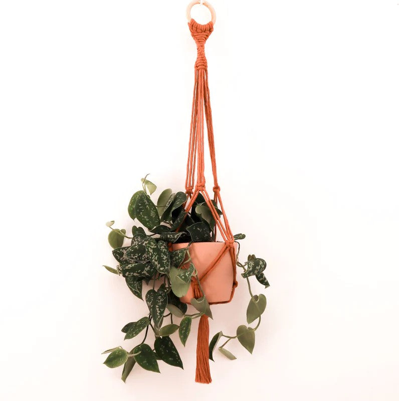 Stitch Happy Make Your Own Plant Hanger - Blush