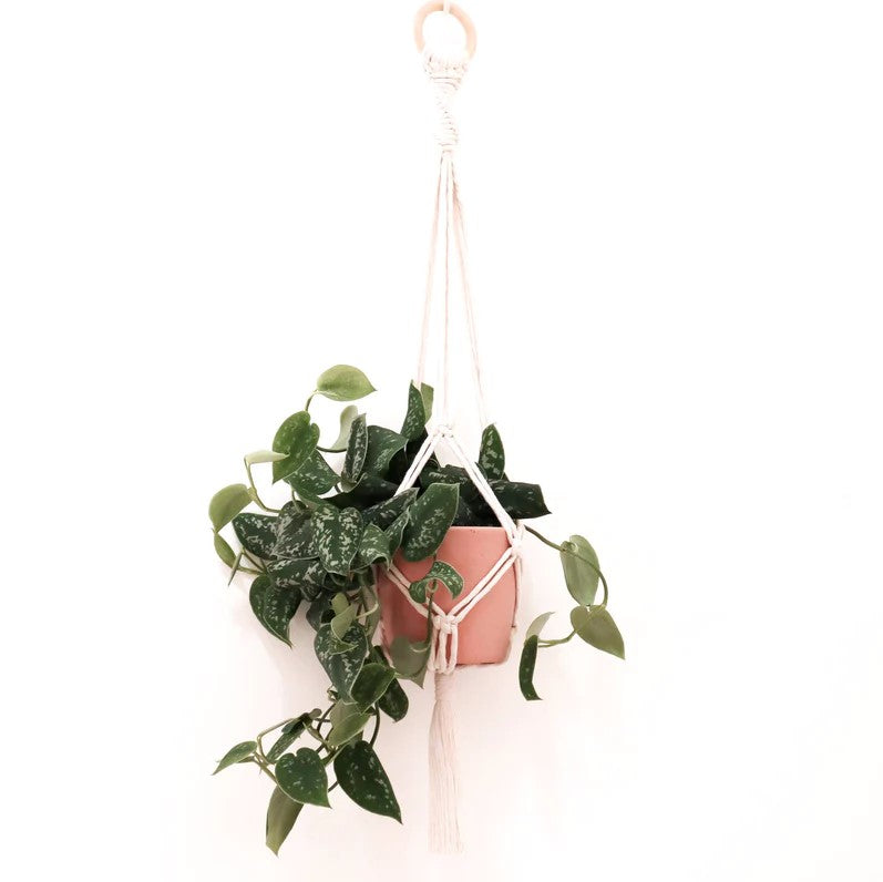 Stitch Happy Make Your Own Plant Hanger - Ecru