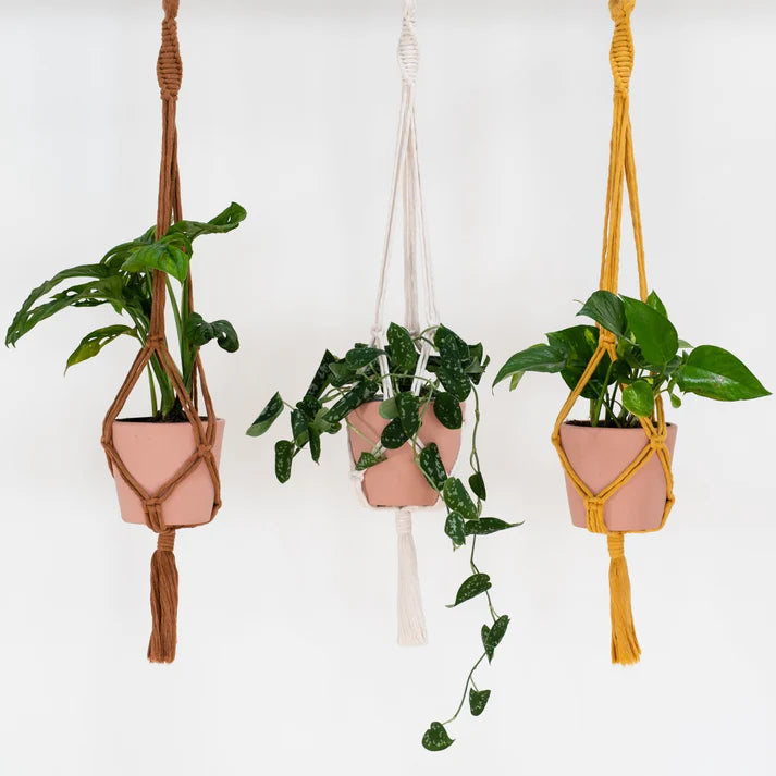 Stitch Happy Make Your Own Plant Hanger - Ecru