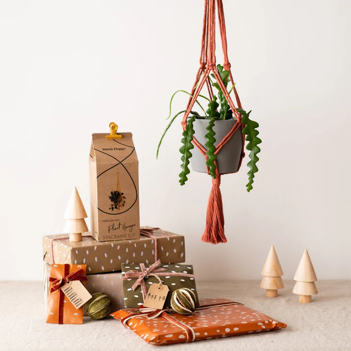 Make You Own Macrame Plant Hanger - Terracotta