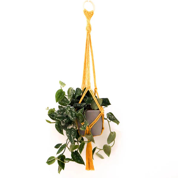 Stitch Happy Make Your Own Macrame Plant Hanger - Mustard