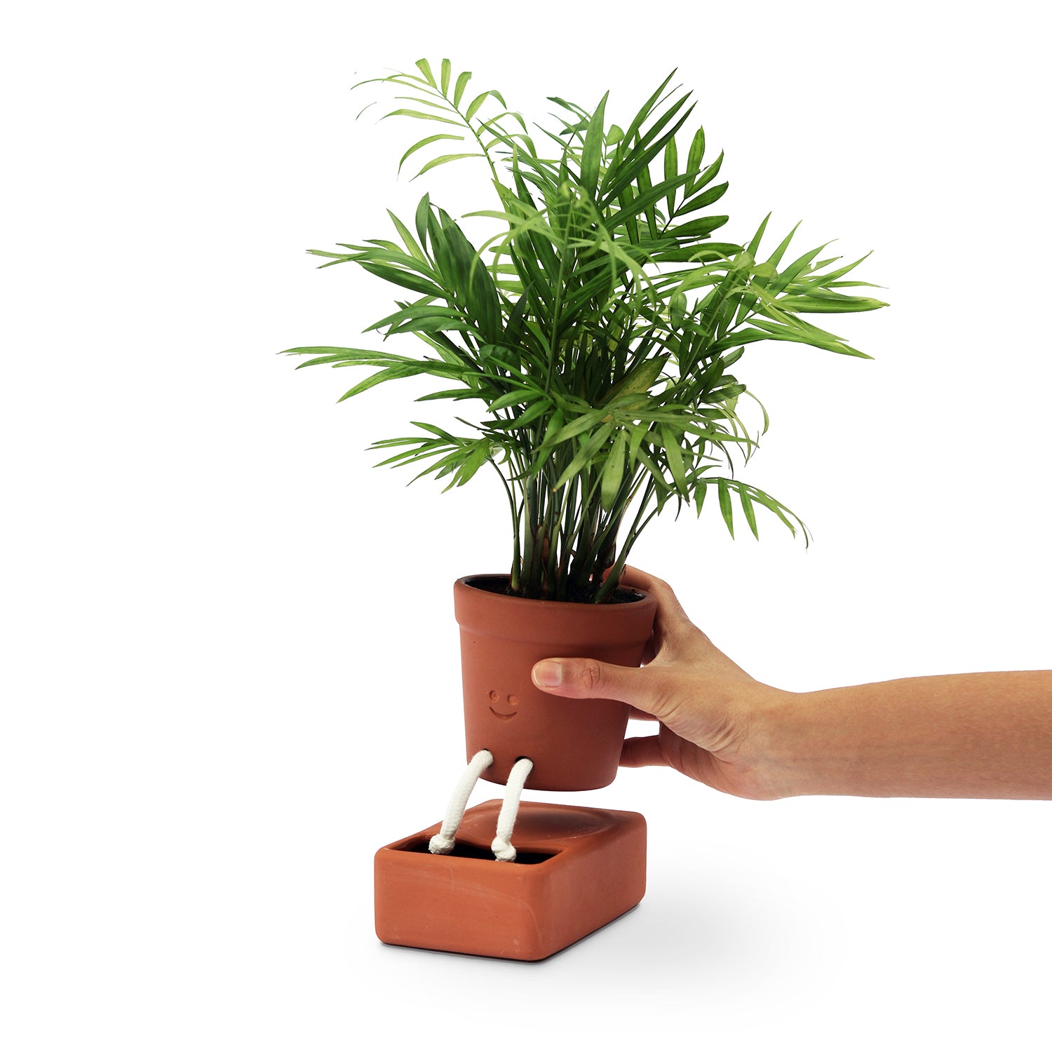 Self Care Planter