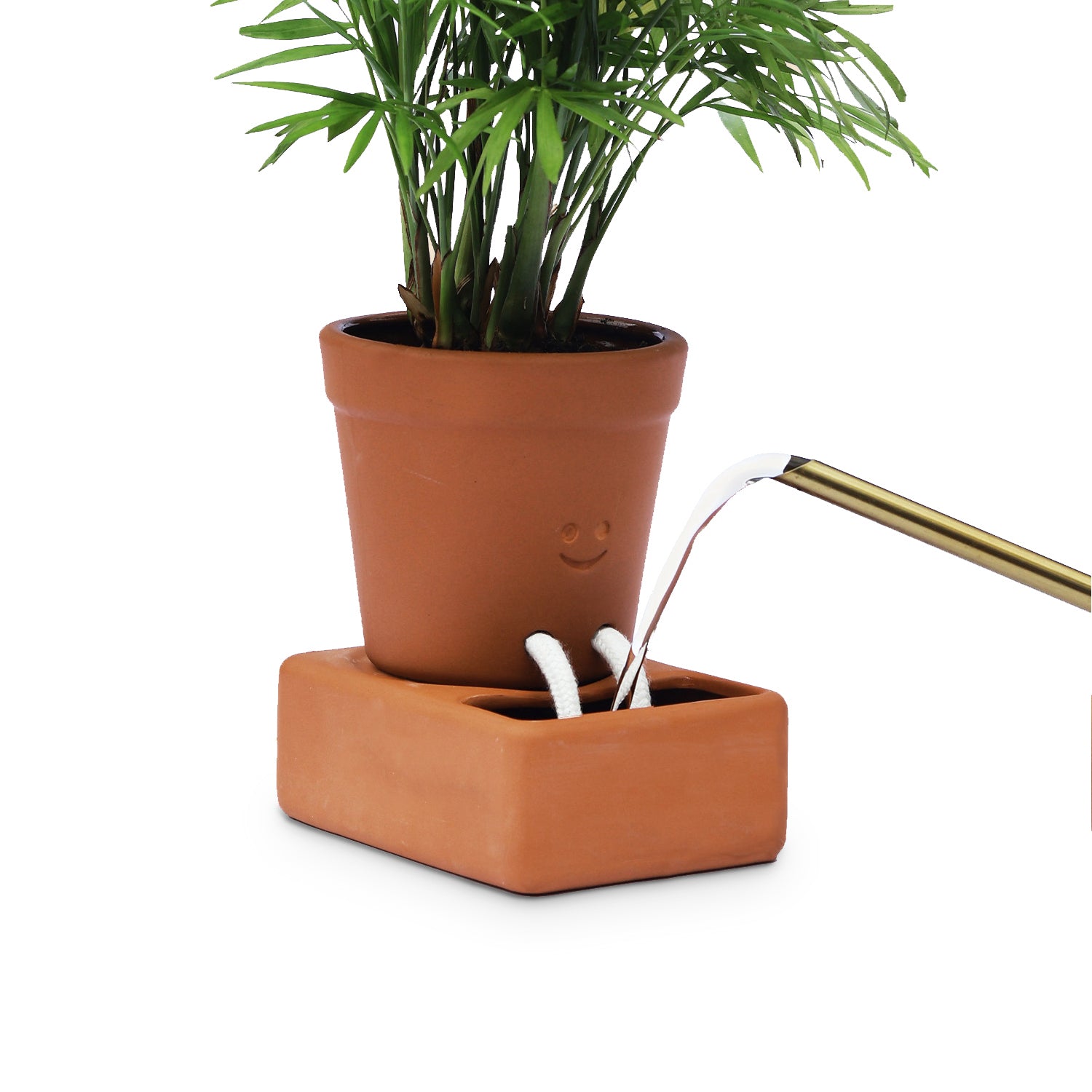 Self Care Planter