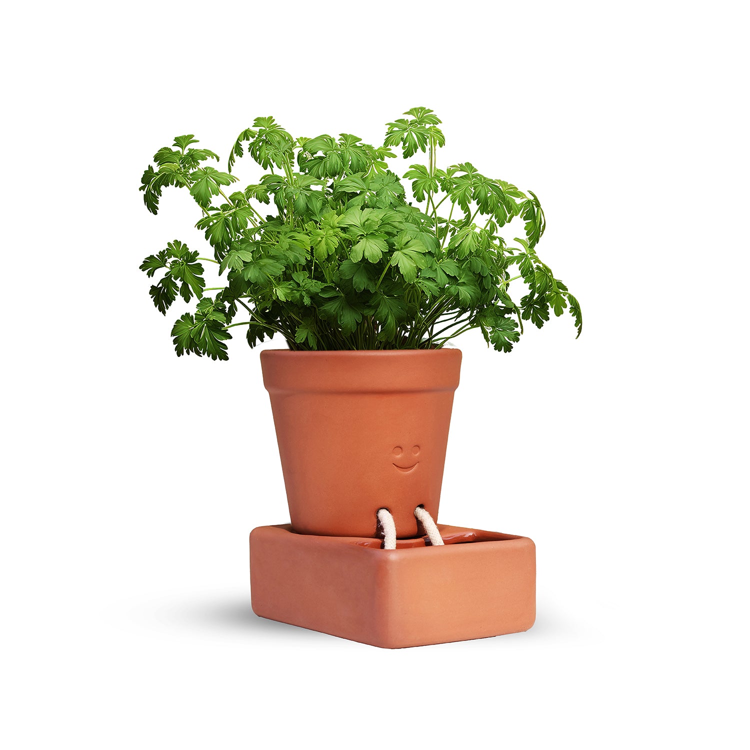 Self Care Planter
