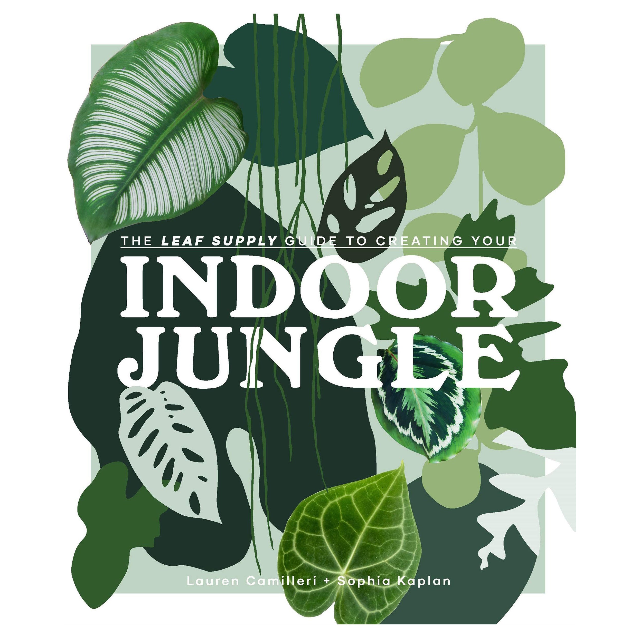Indoor Jungle Book