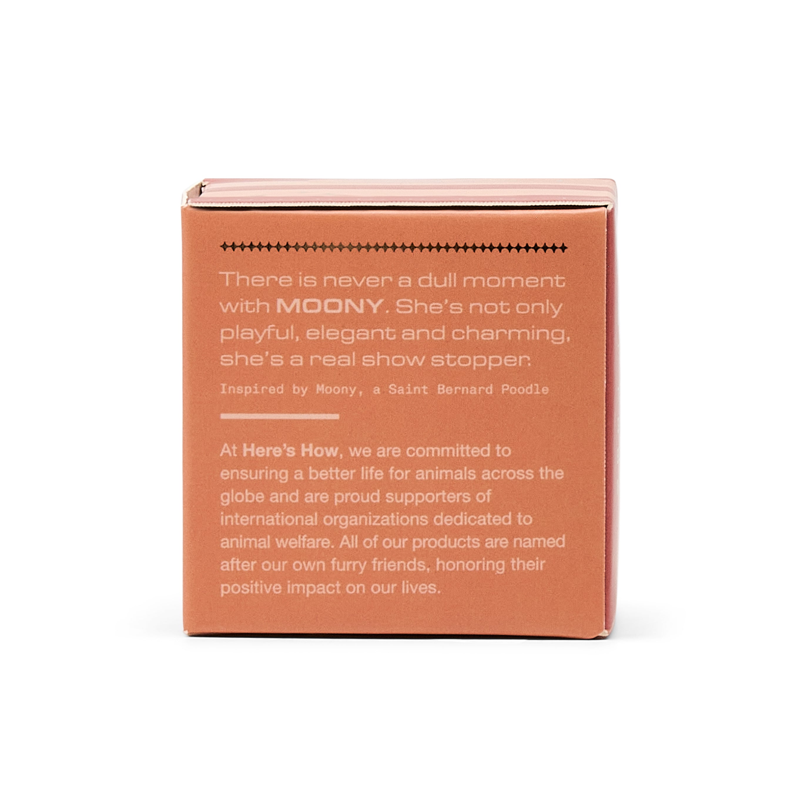 A square terracotta-colored product box shown from the back, featuring white printed text on a clean white background.