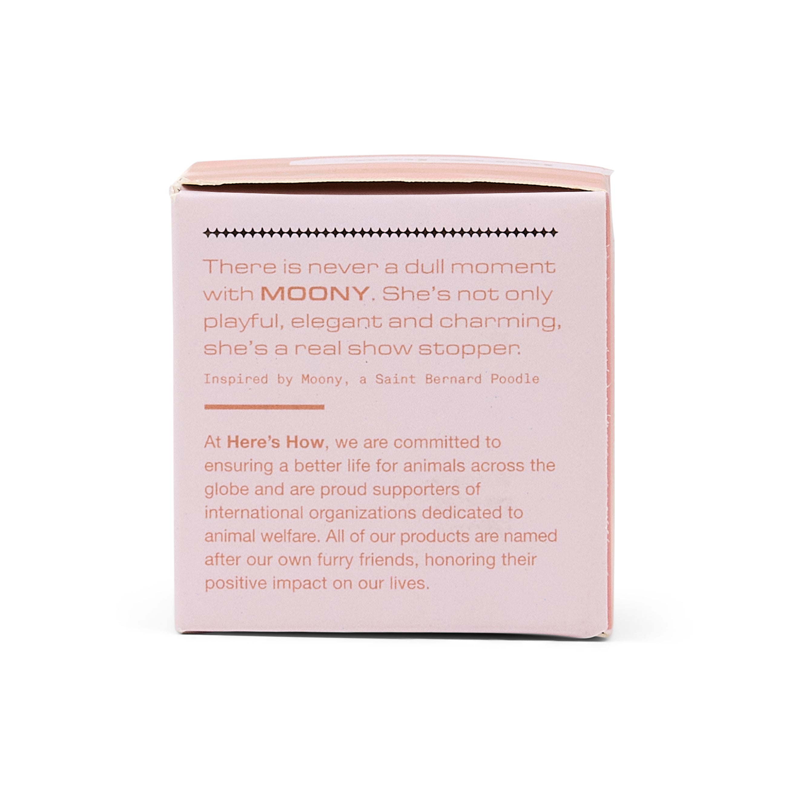 A pink cardboard product box shown from the back on a clean white background, with printed text and a small Saint Bernard Poodle illustration.