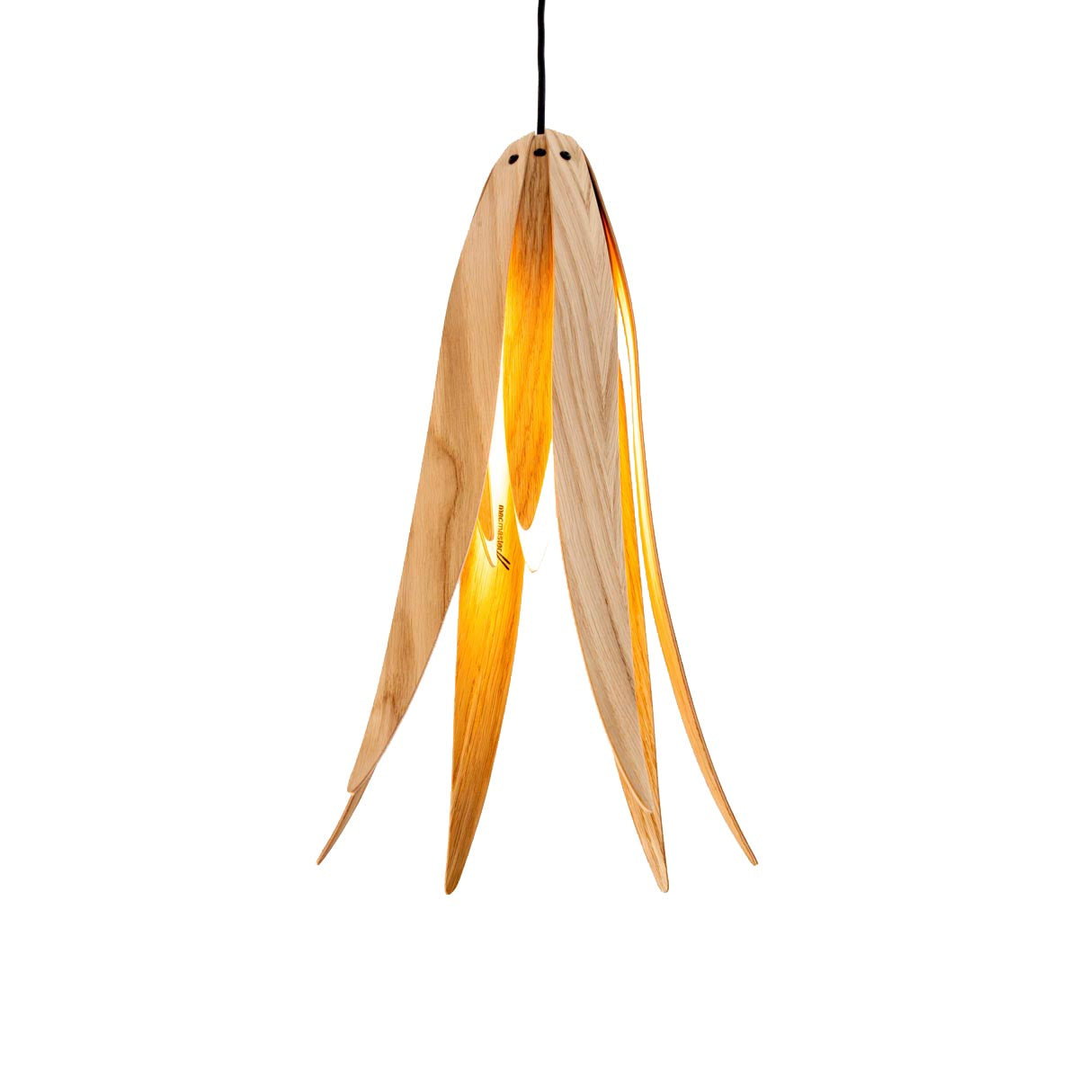 Macmaster Design Fuchsia Pendant Light