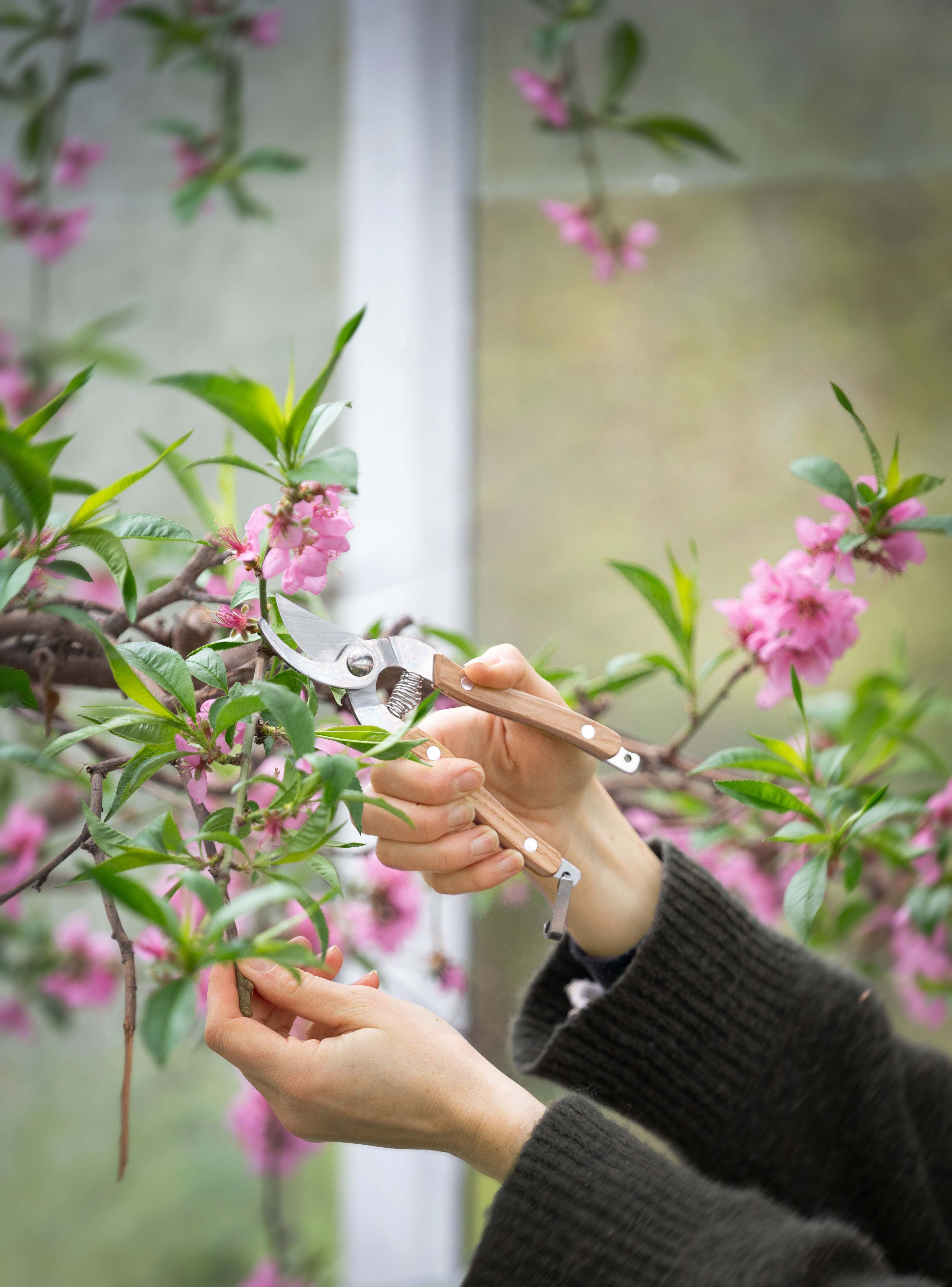 Wikholm Spira Garden Cutters