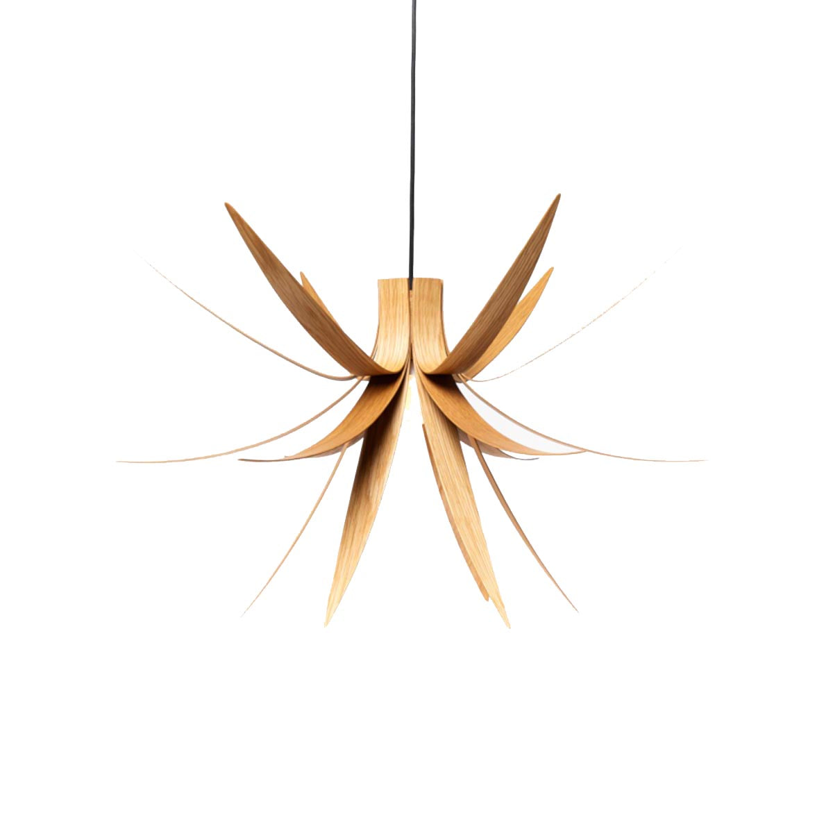 Macmaster Design Iris Pendant Light