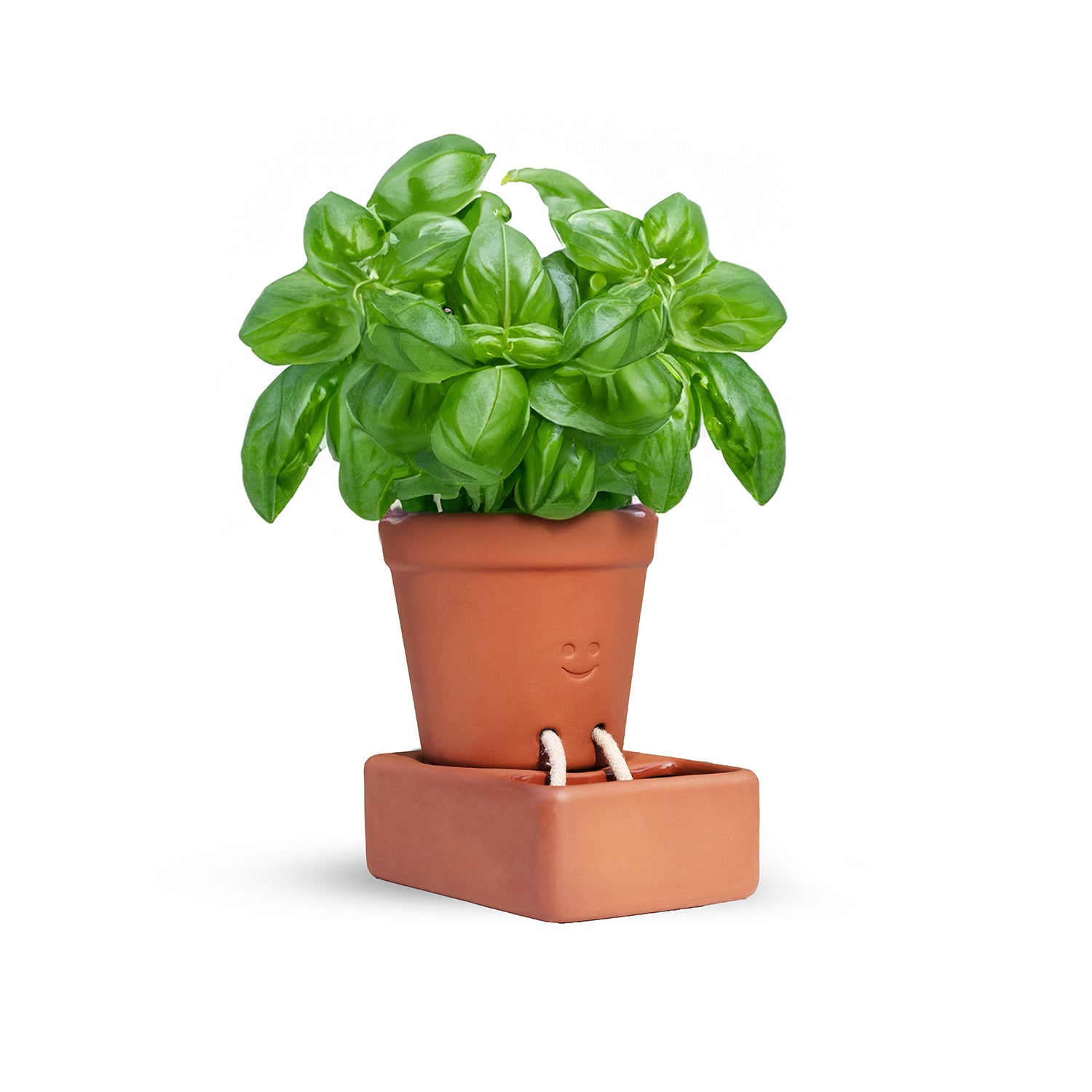 Self Care Planter